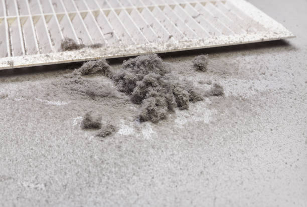 Best Air Duct Cleaning Near Me  in Barton, NM